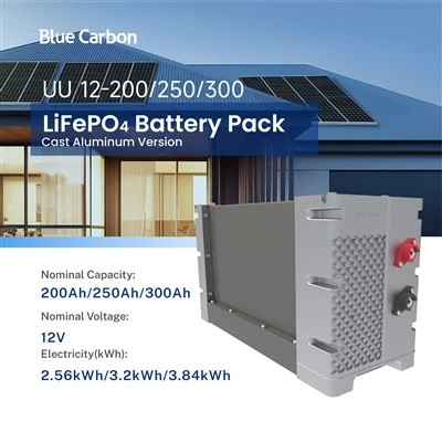 Blue Carbon Rechargeable LiFePO4 Battery 12V Lithium Ion Battery Bank